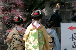 Maiko